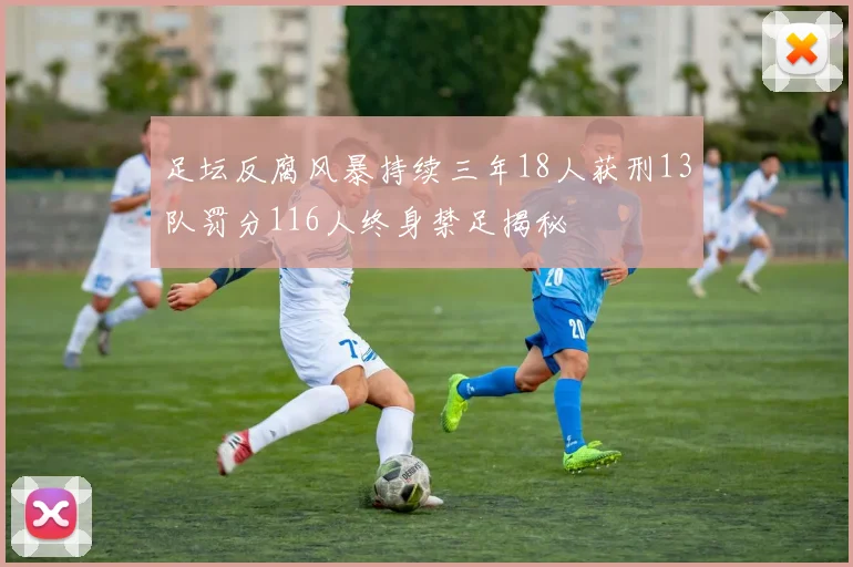 足坛反腐风暴持续三年18人获刑13队罚分116人终身禁足揭秘